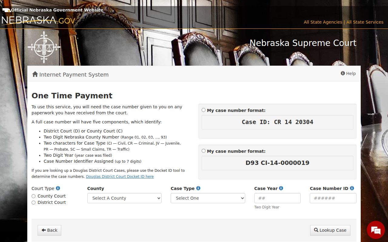 Empty Nebraska ePayments case lookup form for Cass County traffic records